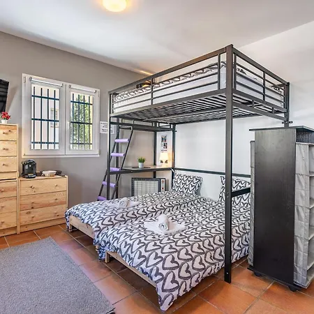 Estudio Bsg Sierra Nevada