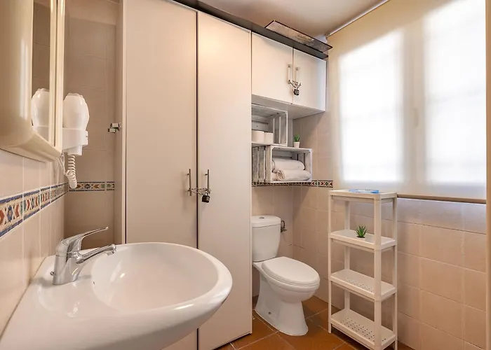 Estudio Bsg * 塞拉内华达