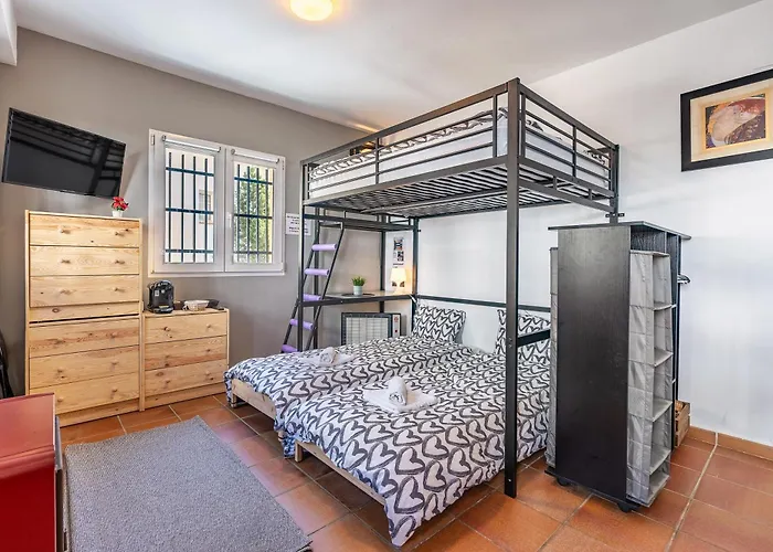 Estudio Bsg 塞拉内华达