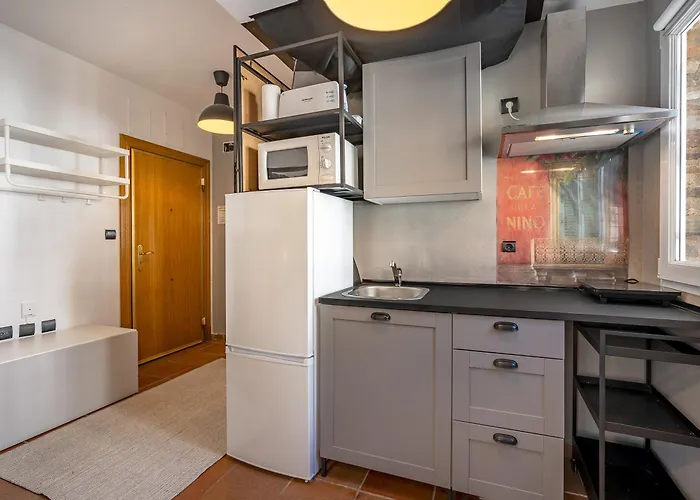 Appartement Estudio Bsg *